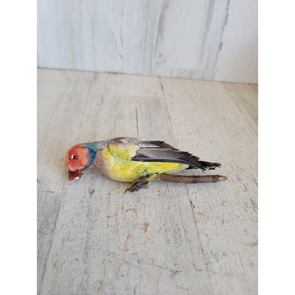 Parrot realistic bird Xmas wire hanging ornament faux vintage unique home decor